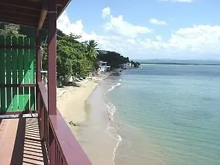 Lemontree Oceanfront Cottages Rincon Hotel