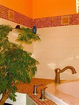 ** Hotel Lemontree Oceanfront Cottages Rincon Puerto Rico