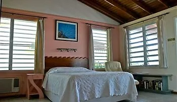 Lemontree Oceanfront Cottages Rincon Hotel