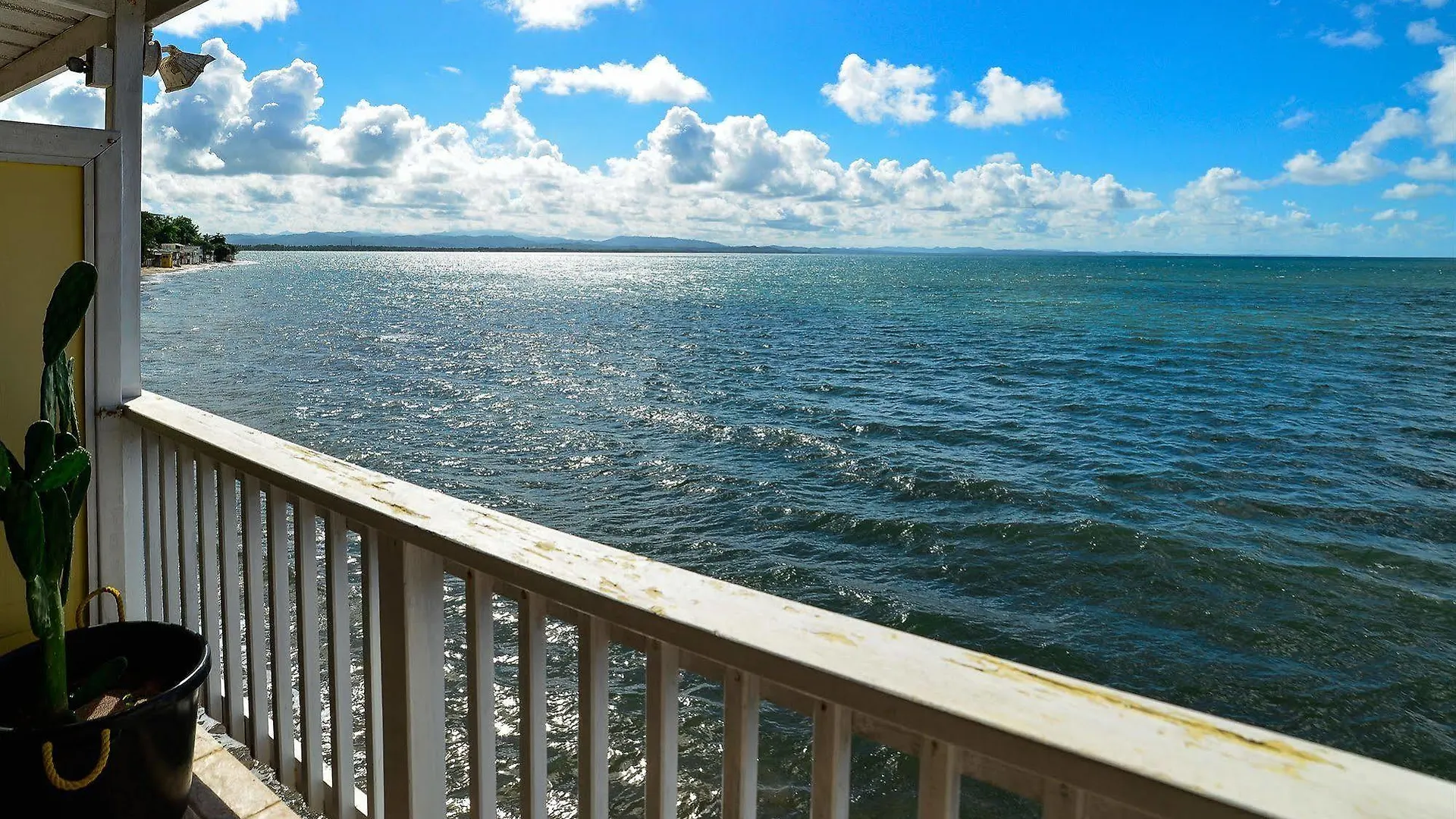 ** Hotel Lemontree Oceanfront Cottages Rincon Puerto Rico