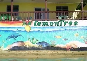 Lemontree Oceanfront Cottages Rincón Portoriko