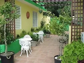 Hotel Lemontree Oceanfront Cottages Rincón