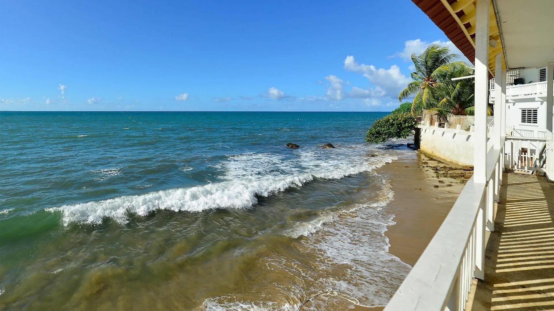 Lemontree Oceanfront Cottages Rincón